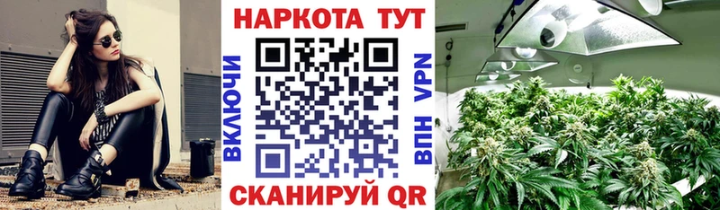 Псилоцибиновые грибы Старая Русса