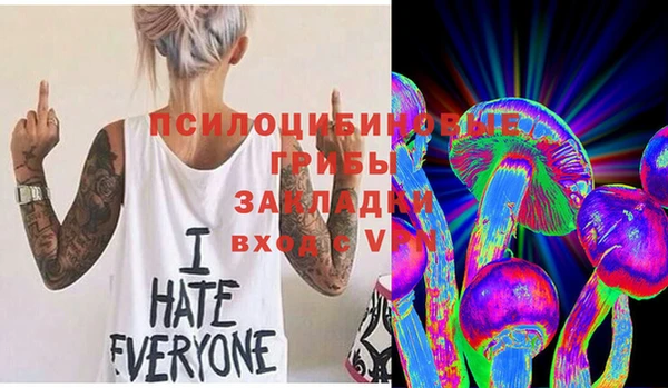 тгк Аркадак