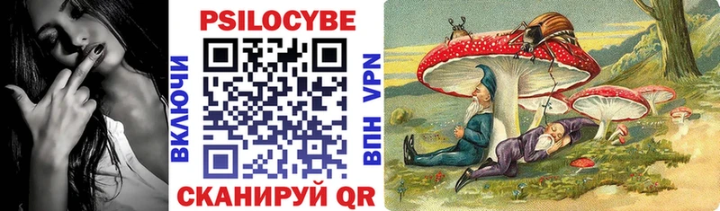 Галлюциногенные грибы мицелий  Старая Русса 